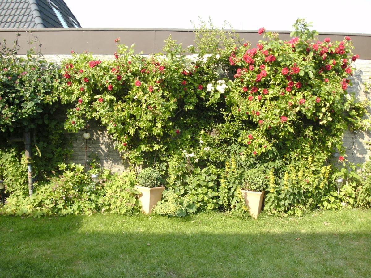Haus Mit Lilie Und Rose Apartman Westerdeichstrich Kültér fotó